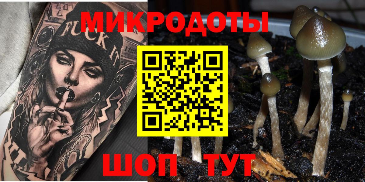 Галлюциногенные грибы Cubensis  магазин  наркотиков  Вход с VPN  Черкесск  Галлюциногенные грибы Magic Shrooms 